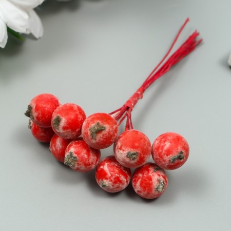 Decor for creativity "Berry of Rowan" 1 bouquet = 10 berries Red-Borded hoar 10x1.5 cm