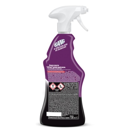 Remedy for removing black mold, Cillit Bang, atomizer, 750 ml-4