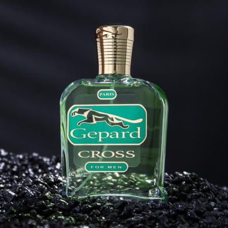 Altro Aroma Gepard Cross Water Male, 95 ml-1