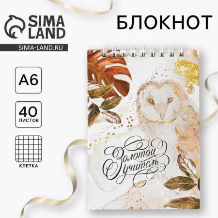Notebook "Golden Teacher", on the crest, A6, 40 sheets