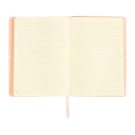 Diary of Leduced A5 136 DEVENTE sheets. Jane, soft pvc cover, elastic band, perforation, liesse, block 70, pink-13