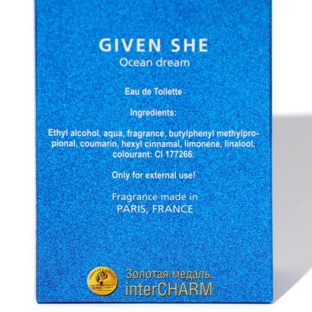 Toilet water for men Given She Ocean Dream, based on Givenchy Blue Label, 100 ml-2