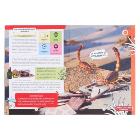 4D encyclopedia in augmented reality “acquaintance with insects”, soft cover-5