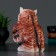 Piggy bank "Eagle owl" 13x16x20cm