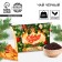New Year! Black tea in the box "Christmas tree", taste: apple strudel, 20 g.