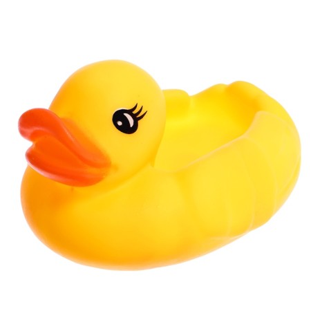 Developing set "sensory ducks", 3+-1