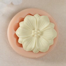 Mold Silicon 