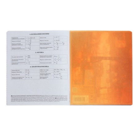 Subject notebook, 48 sheets, cage, physics, Erichkrause "Manga", cardboard cover of twin-lax, unit offset white 100%, information block-6