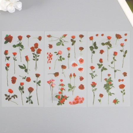Plastic stickers "rose" set 6x18 cm-1