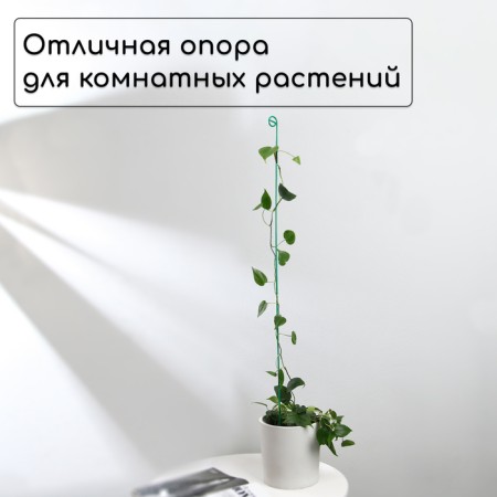 Pegs for garter plants, h = 80 cm, d = 0.3 cm, wire, green, greengo-1