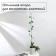Pegs for garter plants, h = 80 cm, d = 0.3 cm, wire, green, greengo
