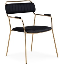 ASPEN Metal/velor Metal Carcass, gold/black 60x65x86 cm
