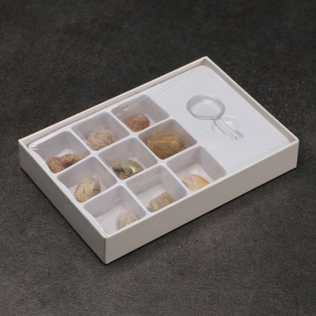 Ammonite set-1