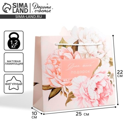 Gift package, packaging, “Gift for you”, 25 x 26 x 10 cm
