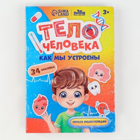 The training set "Human Body", a frame-laying frame and a book with stickers-13