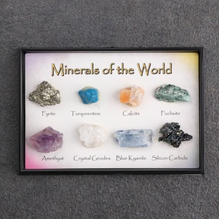 Collection of minerals, 8 pcs, 8x5.5x1.3 cm-2