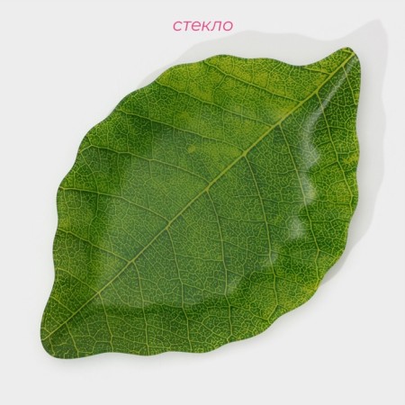 Glass Serving shares "Leaf", 31 × 19 cm, green color-1
