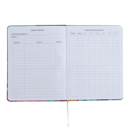 Universal diary for grade 1-11 Candy Cat, hard cover, artificial leather, foam rubber, lies, 80 g/m2-6