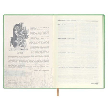 Diary of a low -up A5, 120 Escalada sheets, soft binding, artificial leather "Nappa", foil embossing, white offset 70 g/m², green-6