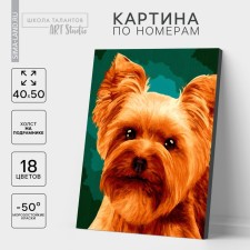 Picture on numbers on a canvas with a subframe 
