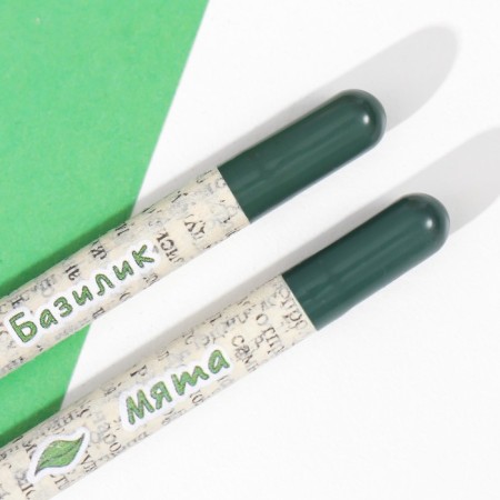 Growing gift pencils Mini "Basil + Mint" set 2 pcs.-4