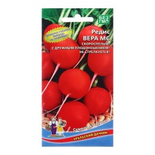 Seeds Radis 