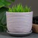 Flower pot "vine" pink-gray, 0.75 liters