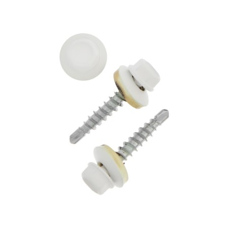 Roofing screws, Haupt 4.8x29 Ral9003, white 250 pcs