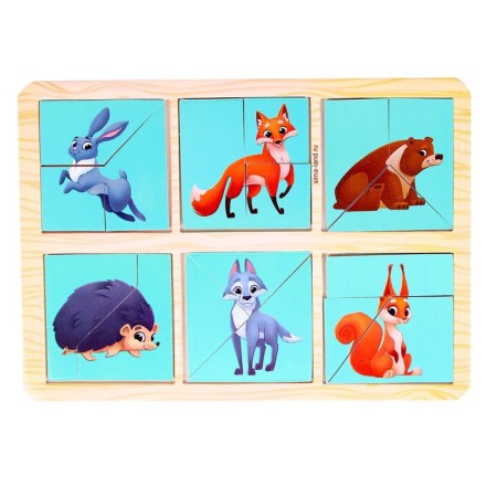 Squares of Nikitin, "Study animal forests"-2