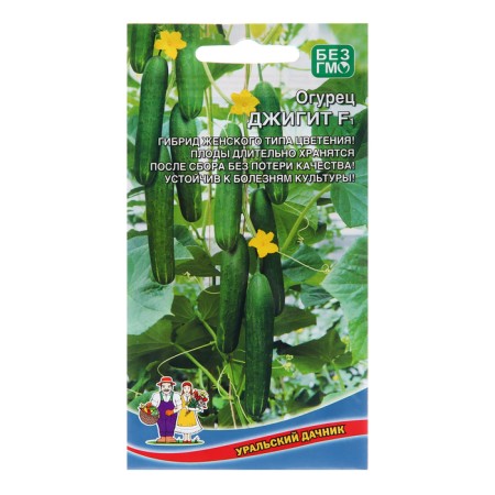 Seeds of cucumber "Dzhigit - salad -type", 10 pcs