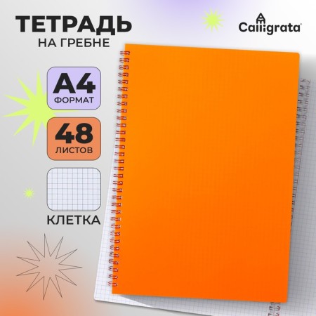 Notebook on the crest A4 48 sheets in the Calligrata cell orange, plastic cover, offset block