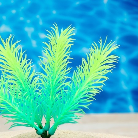 The plant is artificial aquarium, luminous, 10 cm, green-2