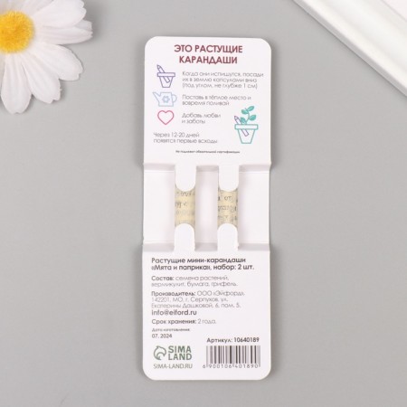 Growing gift pencils Mini "Mint + Paprika" set 2 pcs.-1