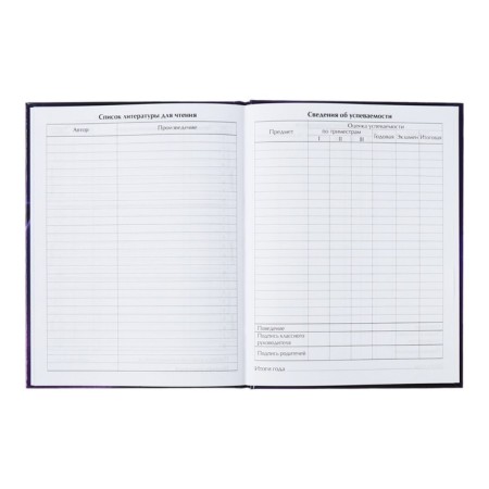 Universal diary for grades 1-11, "kitten", solid cover 7BC, glossy lamination, 40 sheets-10