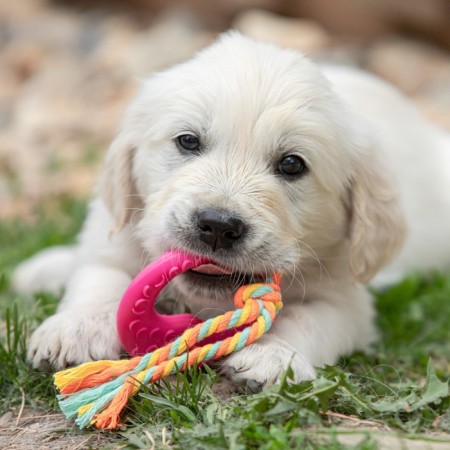 Chewing toy with a rope "Girya", pink-5