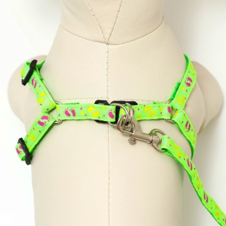 Set "Color Transes", leash 120 x 1 cm, fire 23-35 cm, green-3
