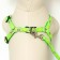 Set "Color Transes", leash 120 x 1 cm, fire 23-35 cm, green