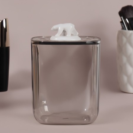 Organizer for storage "Bear", with a lid, 9 × 9 × 13.5 cm, the color is transparent-5