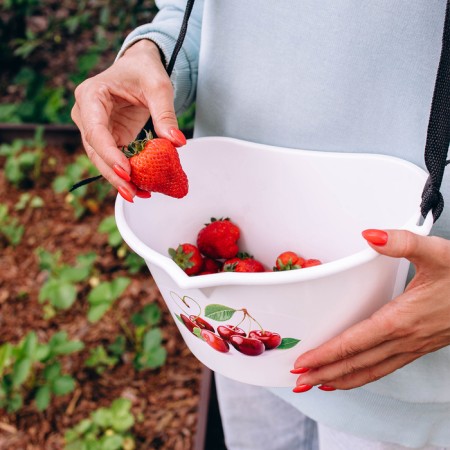 Capacity for collecting berries, 3 l, "Cherry"-10