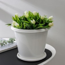 Pot with the Podon 