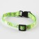 A collar for dogs and cats with Fasteks "Avocado", 30x1 cm