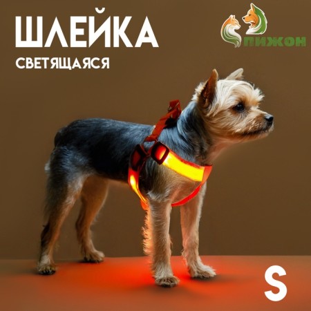 Shleka luminous size s, sling 2.5 cm, og 32-40 cm, 3 orange glow modes