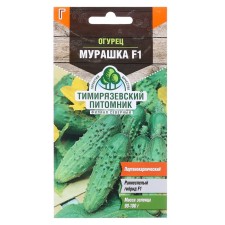 Cucumber seeds 