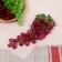 Ovalnaya grapes 24 cm 60 berries, mix