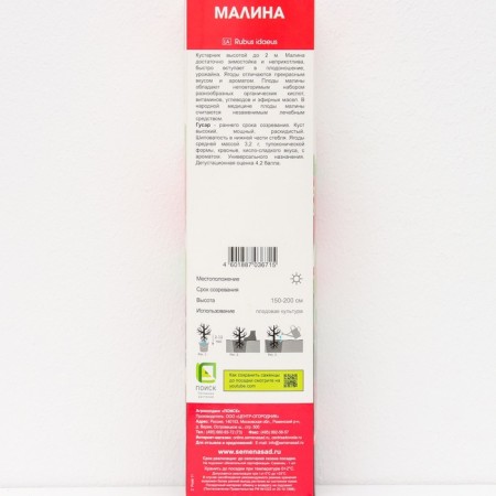 Raspberry traditional varieties "hussar", 1 pc, tube, spring 2025-2