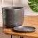 Pot of flower python graphite 1.6 l