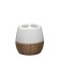 Safari toothbrush cup, white color