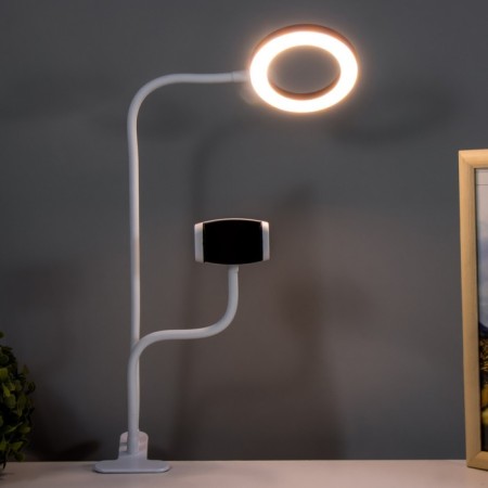 Board Octopus LED USB Rose 11x63 cm Risalux