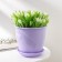 Pot for flowers with the Podon Venice, 3.1 l, d = 19 cm, lavender color