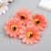 A bud on the leg for decoration "Chrysanthemum-rim peach" d = 5 cm
